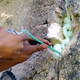 Image for article titled Man's Penis Fills With Foam After DIY Erectile Dysfunction Treatment Goes Wrong